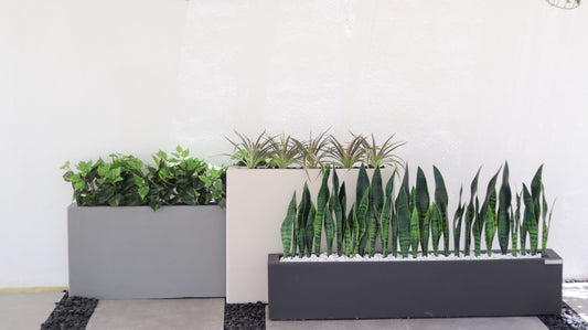 أحواض ثري لاين