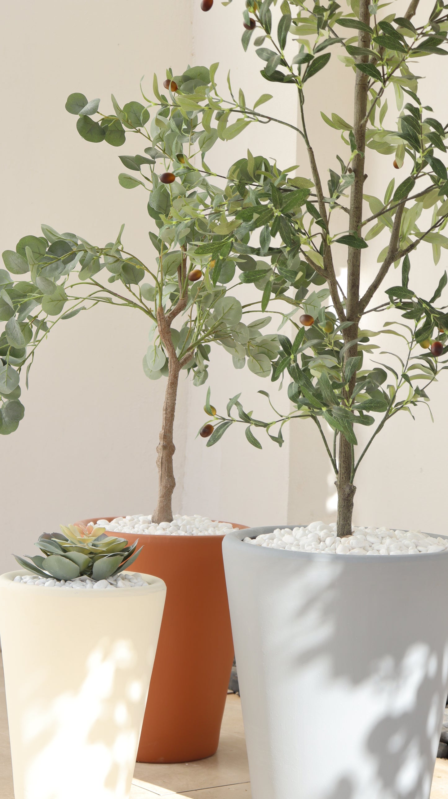 أحواض سيفيّا