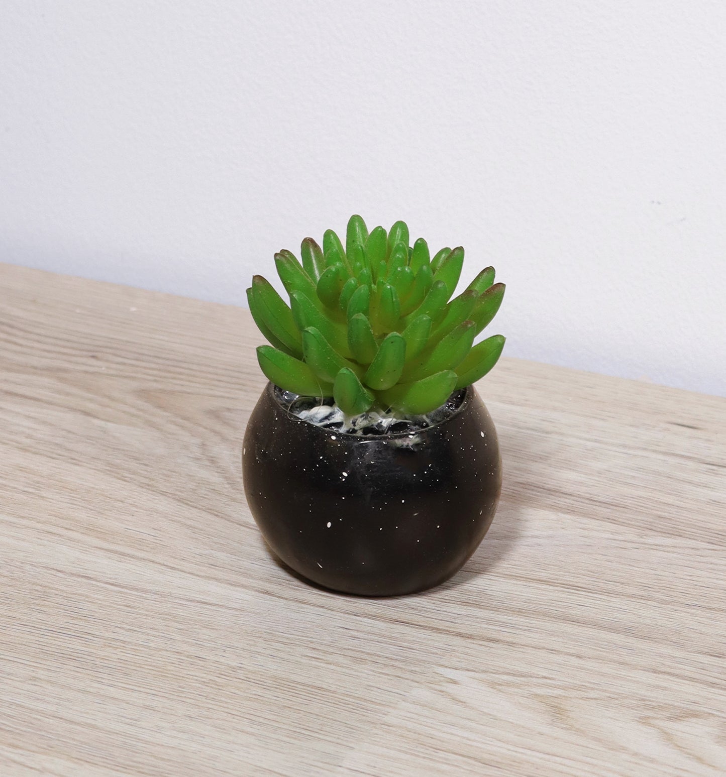 صبار بمركن اسود