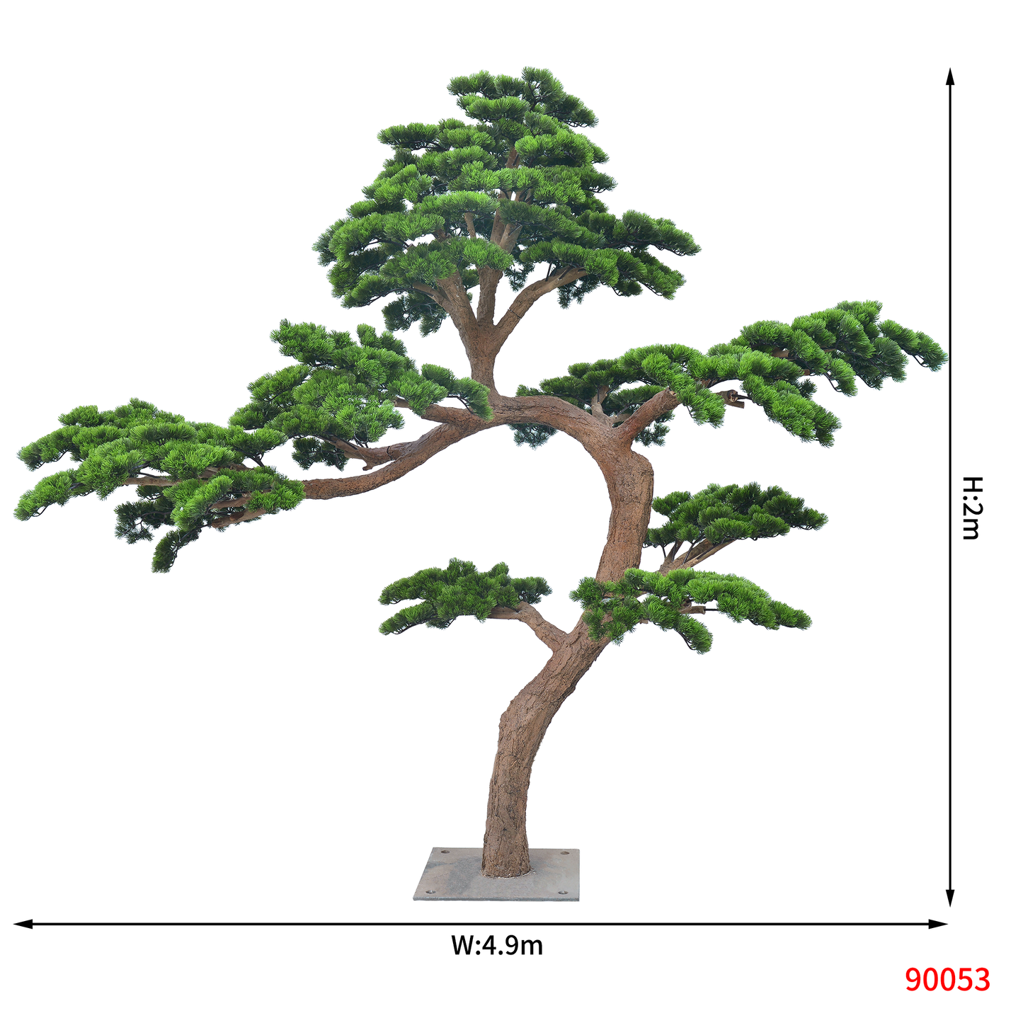 شجرة البونساي