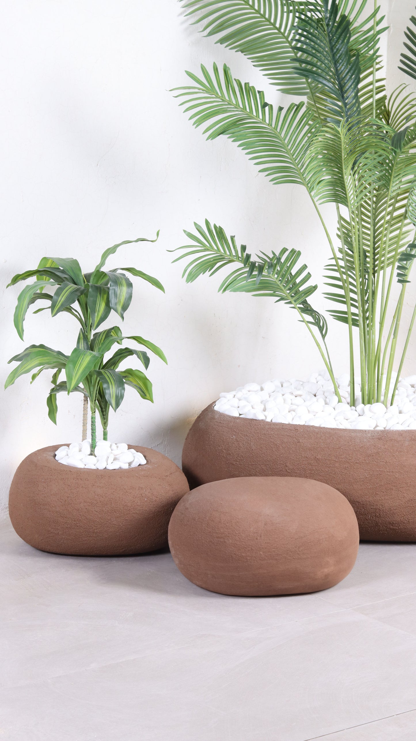 مراكن تولوم