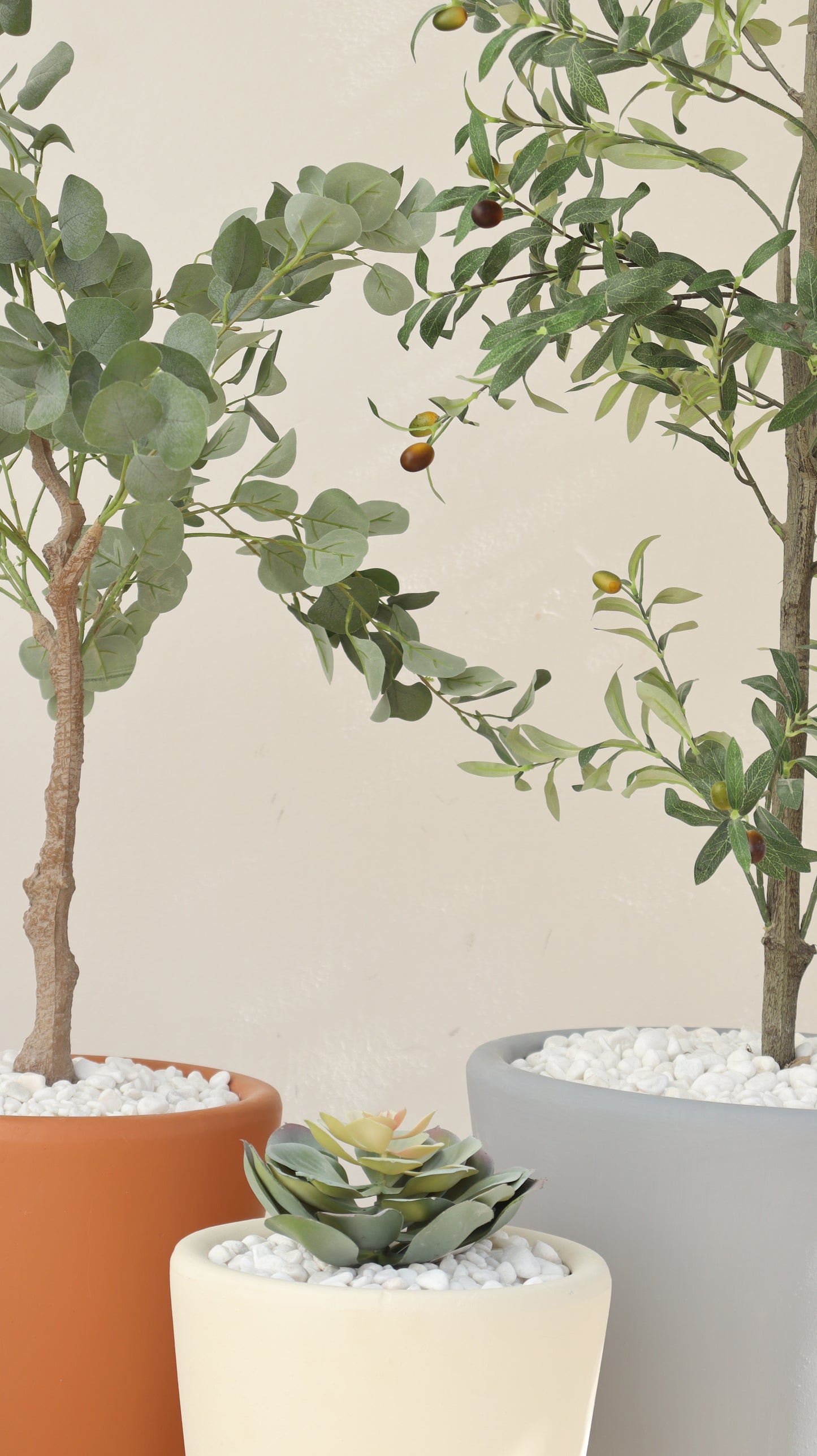 أحواض سيفيّا