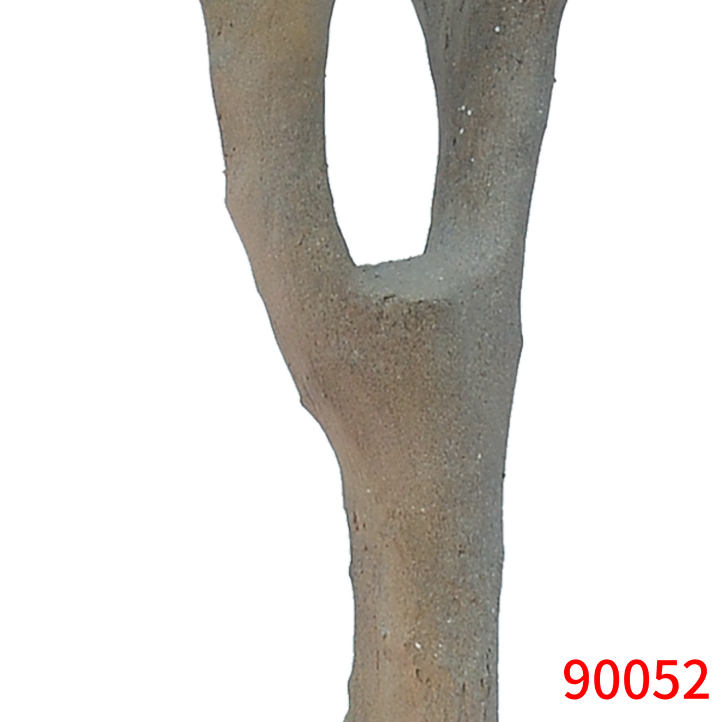 شجرة شيفليرا