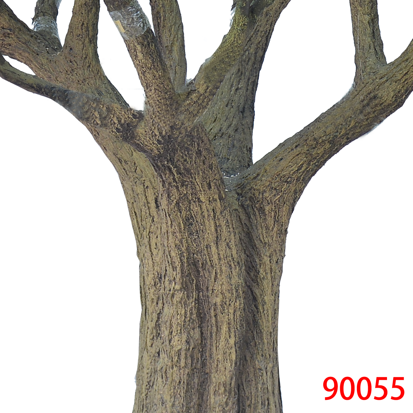 شجرة زيتون كبيرة