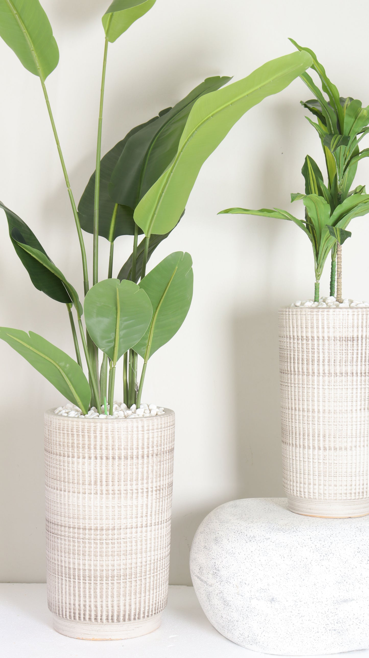 مراكن تدرج اوف وايت