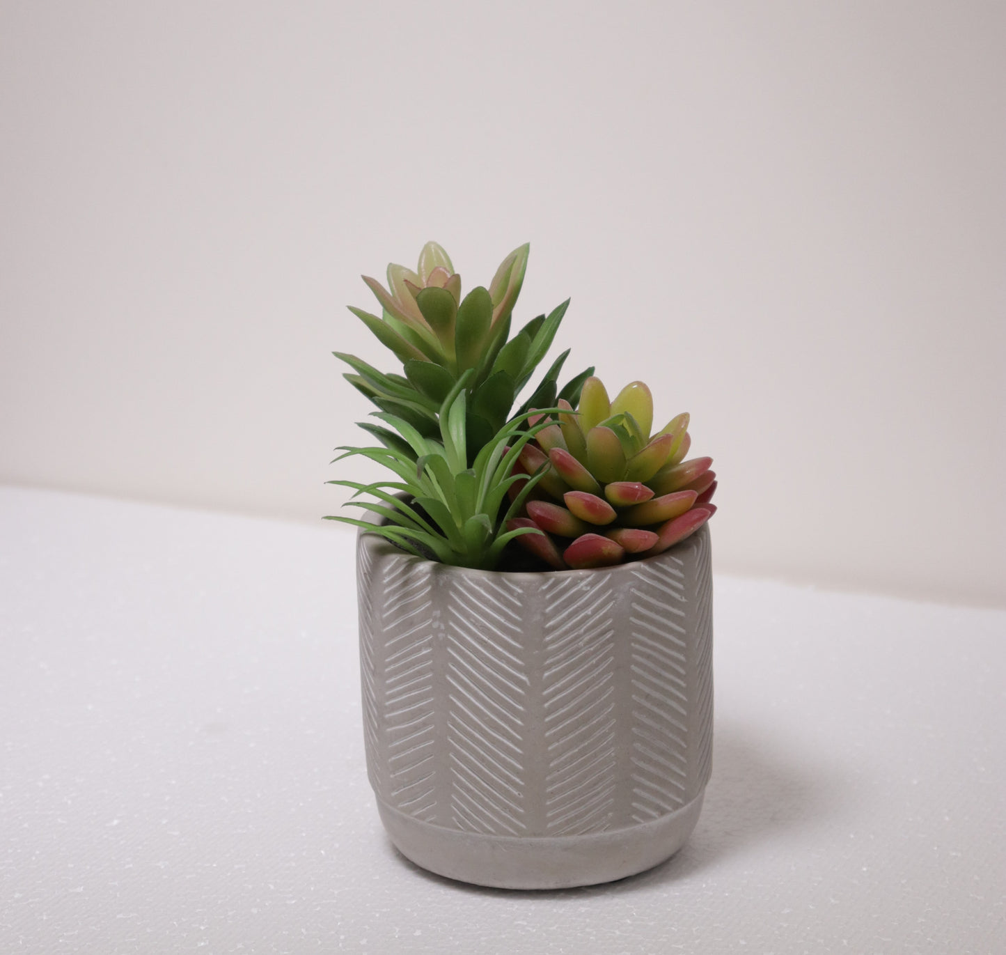 نبات عصاري بماركن