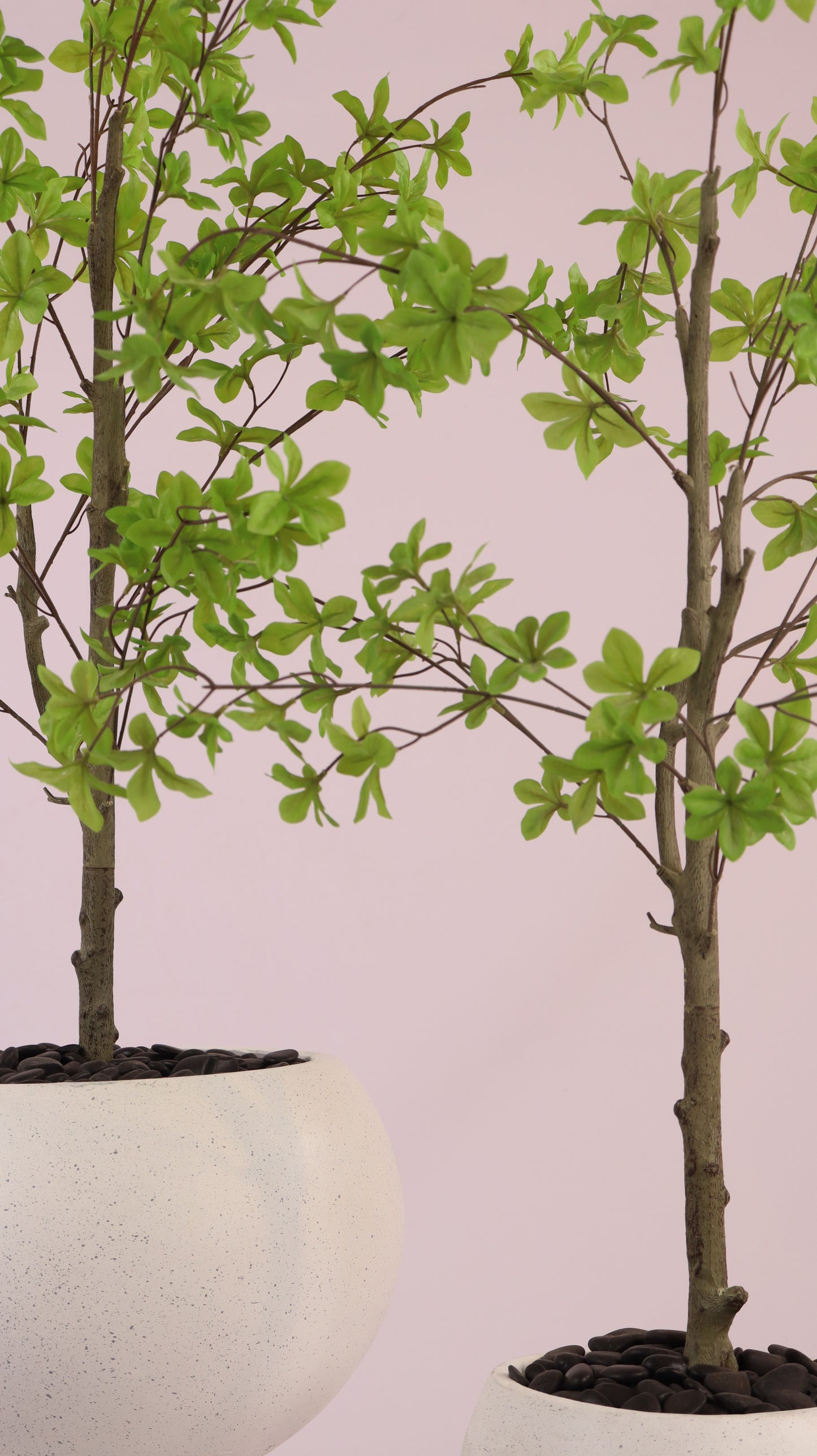 أحواض قمرية بأرجل