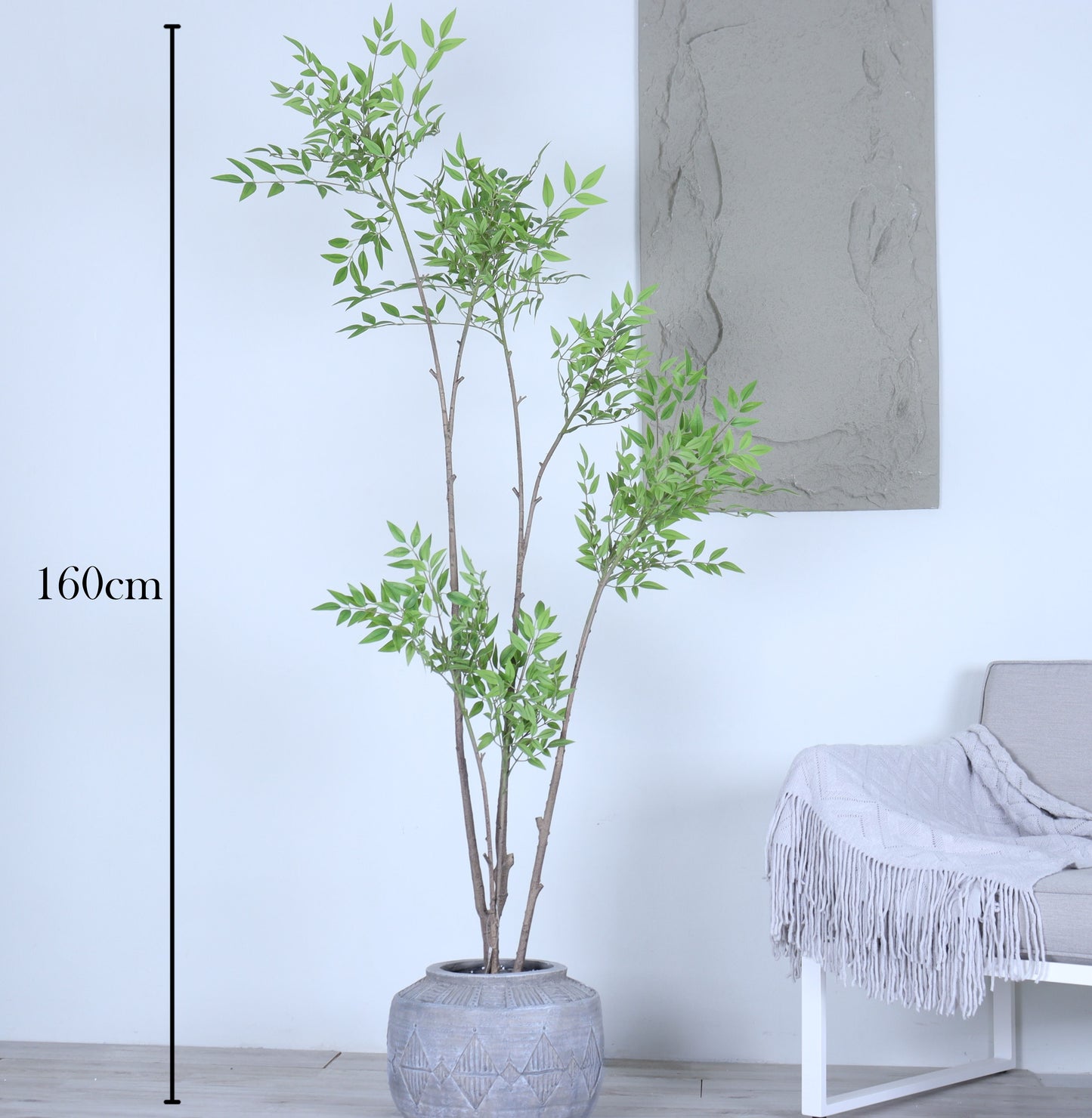 شجرة نانديا وسط