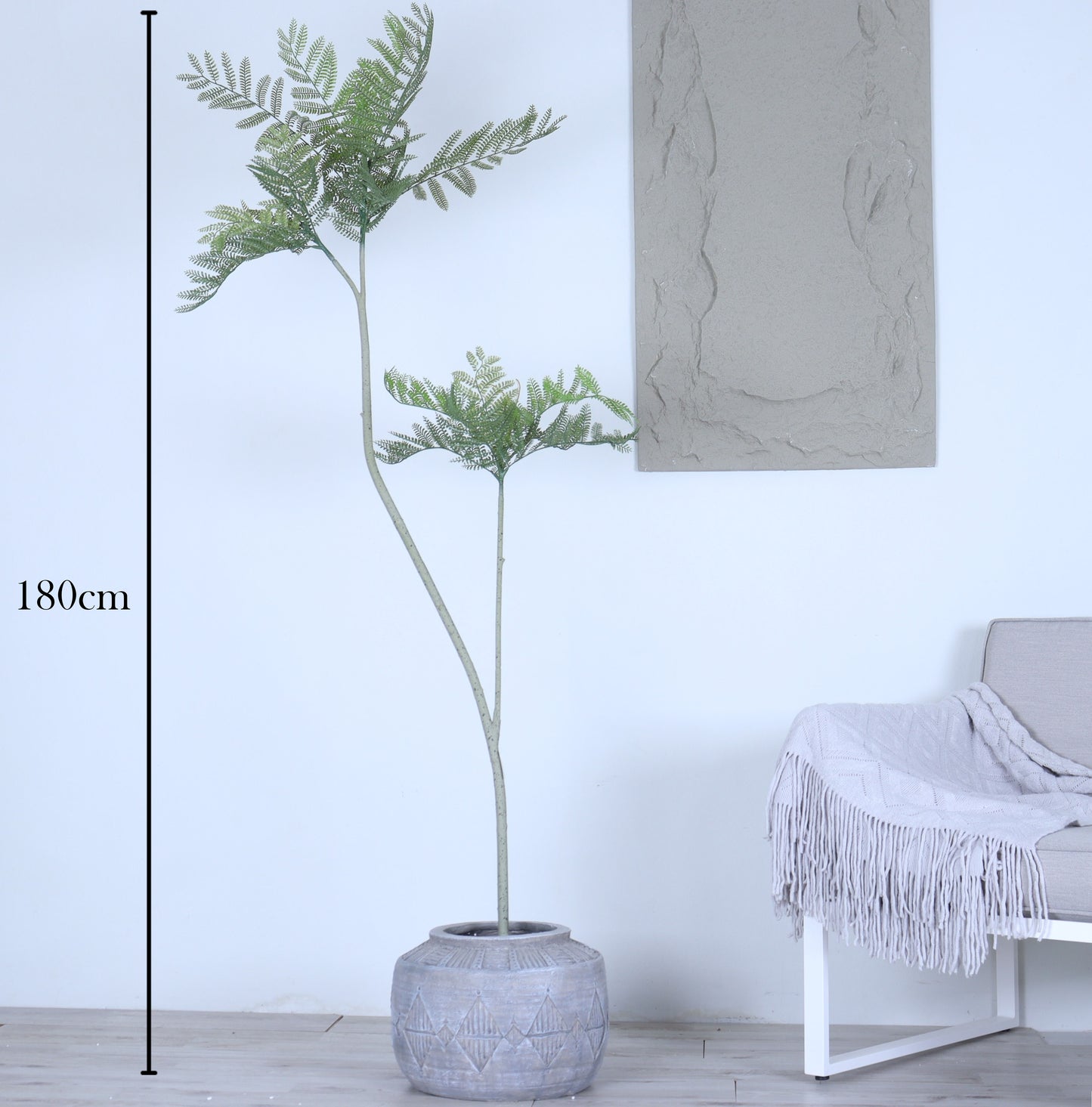 شجرة جاكرندة الكبيرة