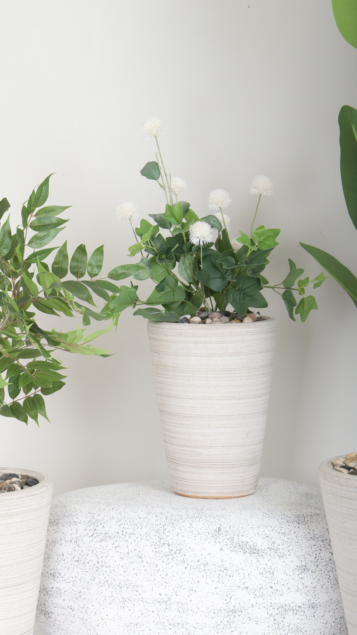 مراكن اوف وايت