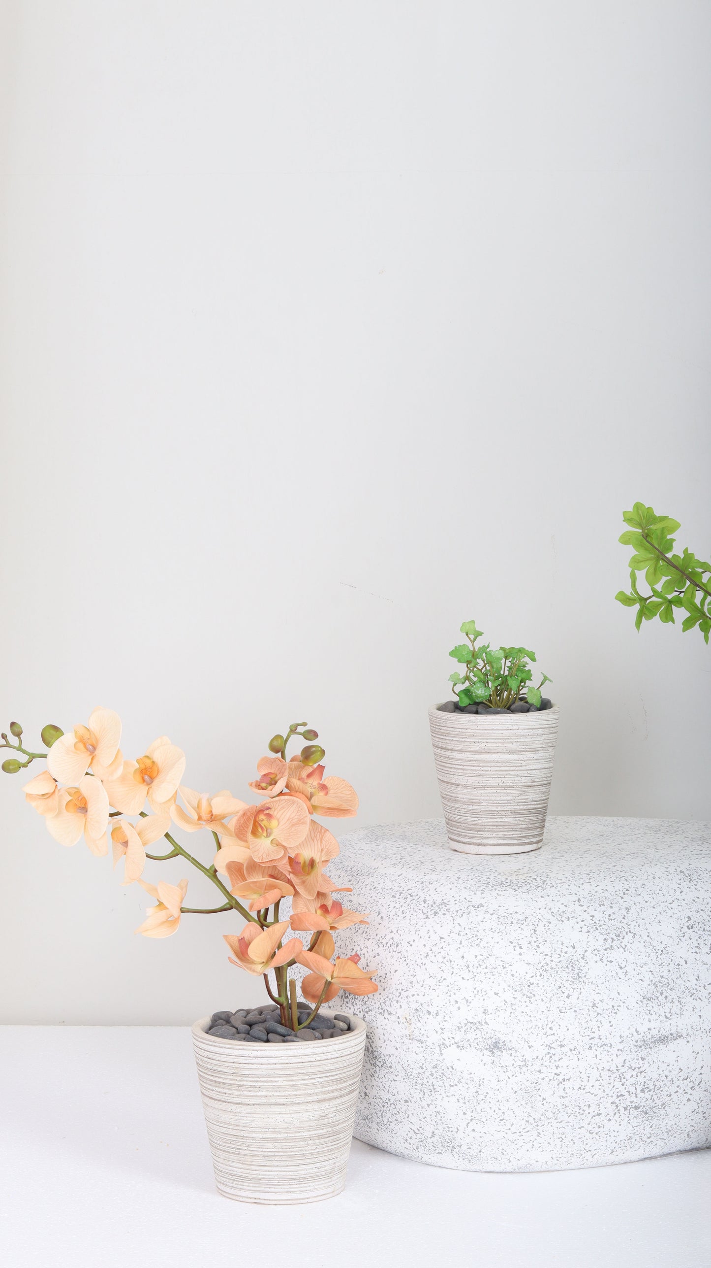 مراكن مخططة