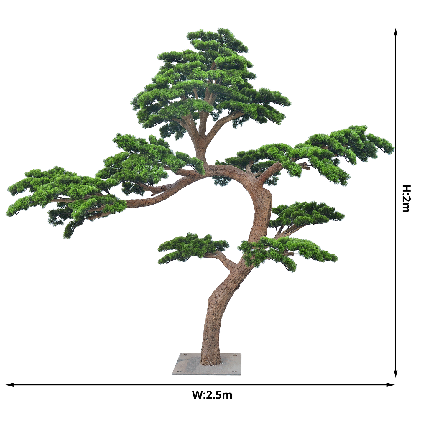 شجرة البونساي