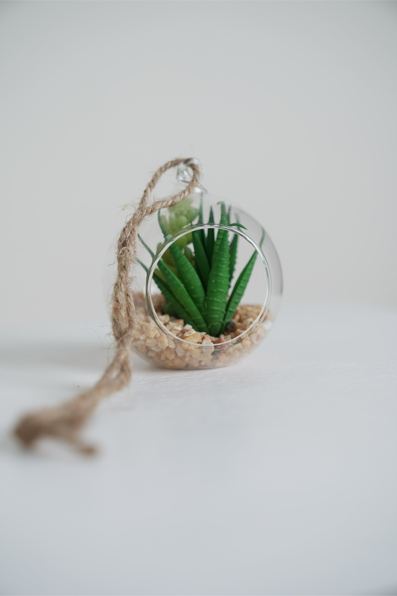 صبار بمركن زجاج