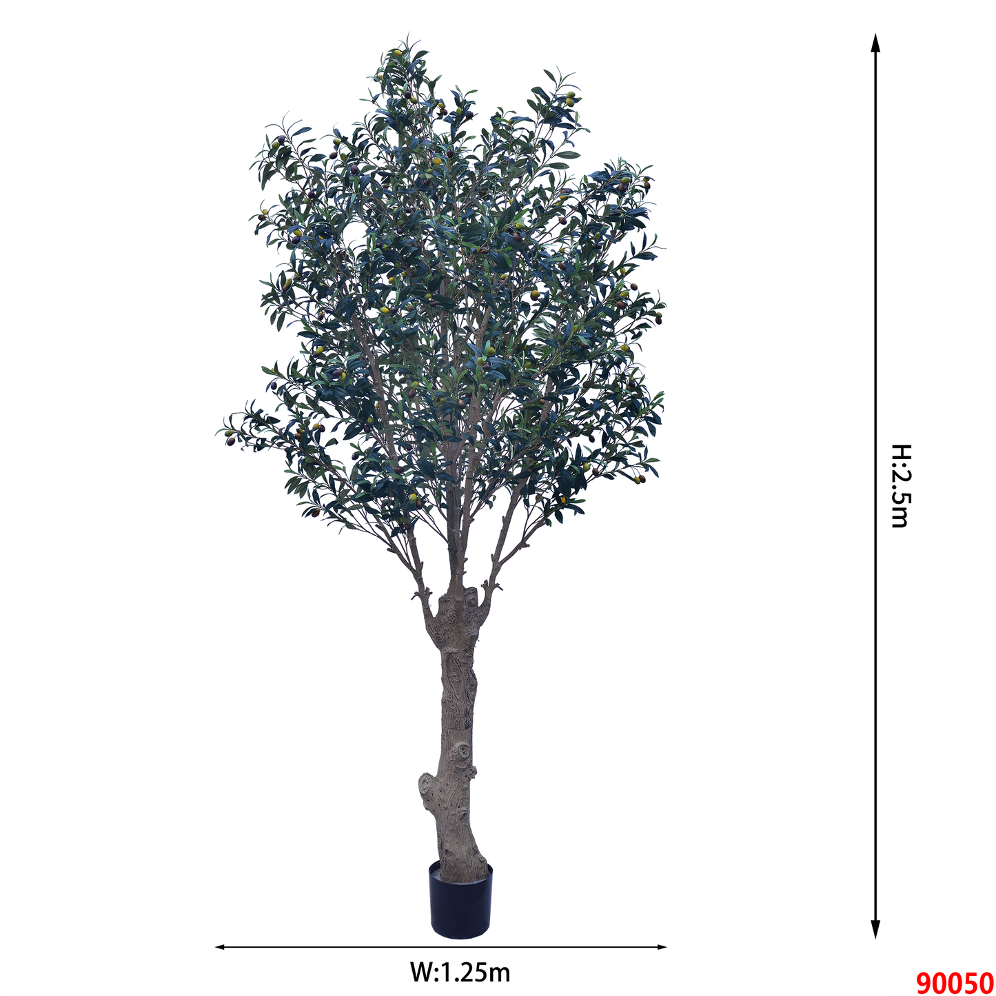 شجرة زيتون صغيرة