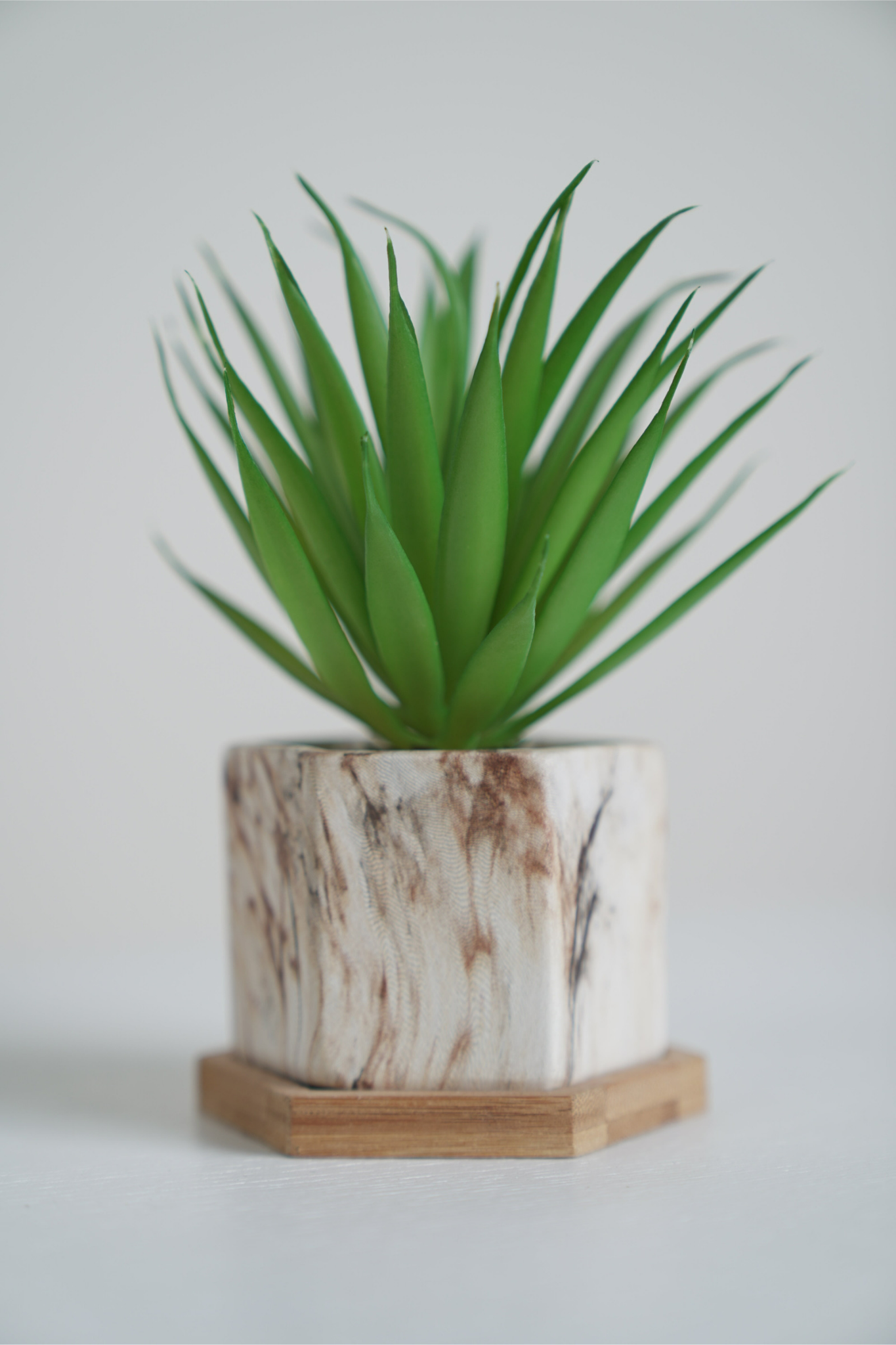 صبار بمركن مربع