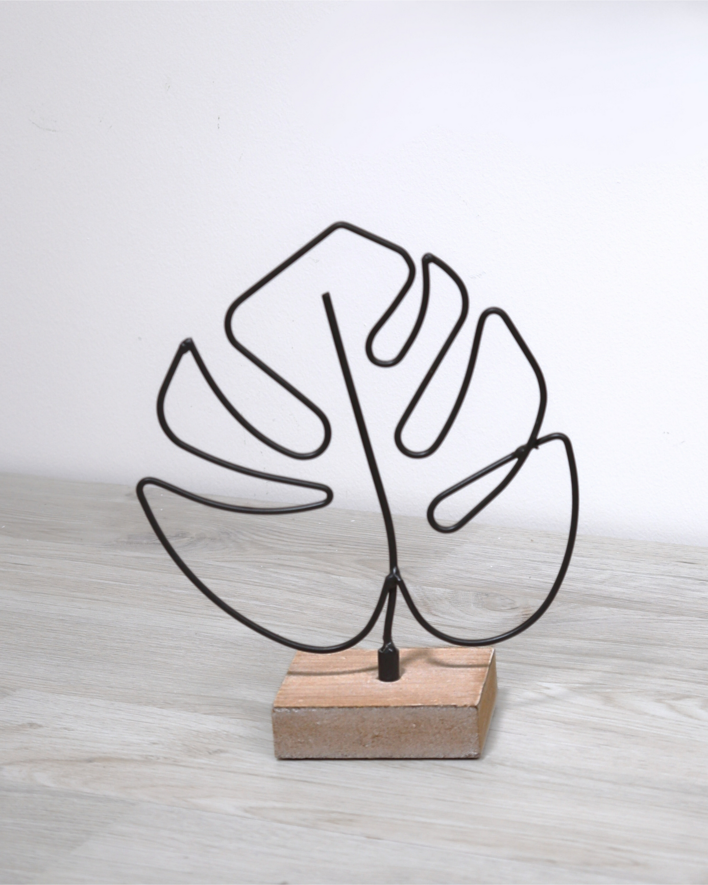 تحفة مونستيرا