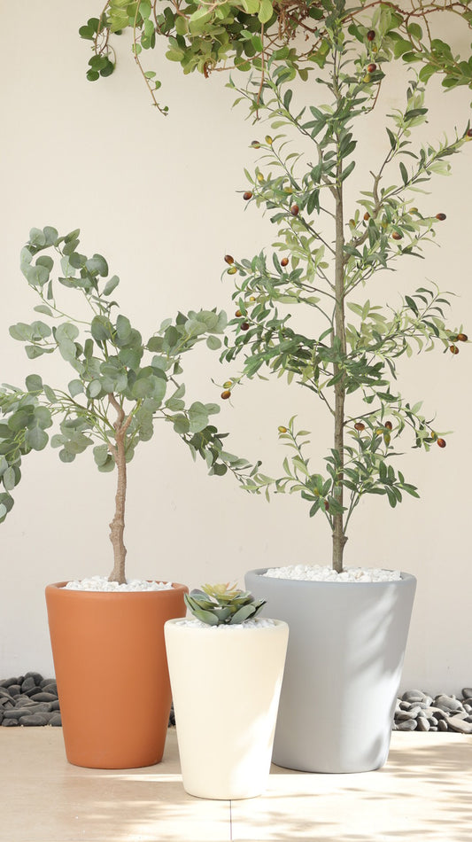 أحواض سيفيّا