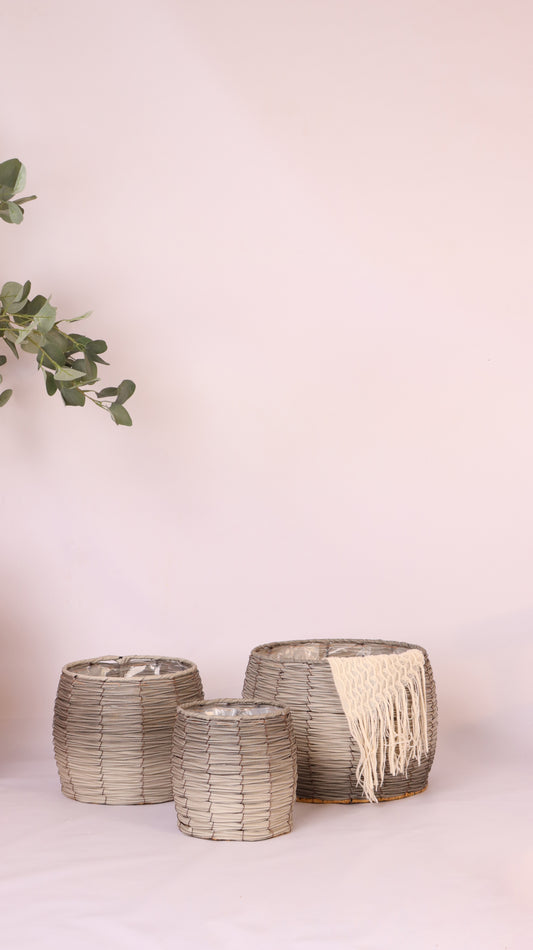 ماركن قش رمادي بتدرج الأحجام