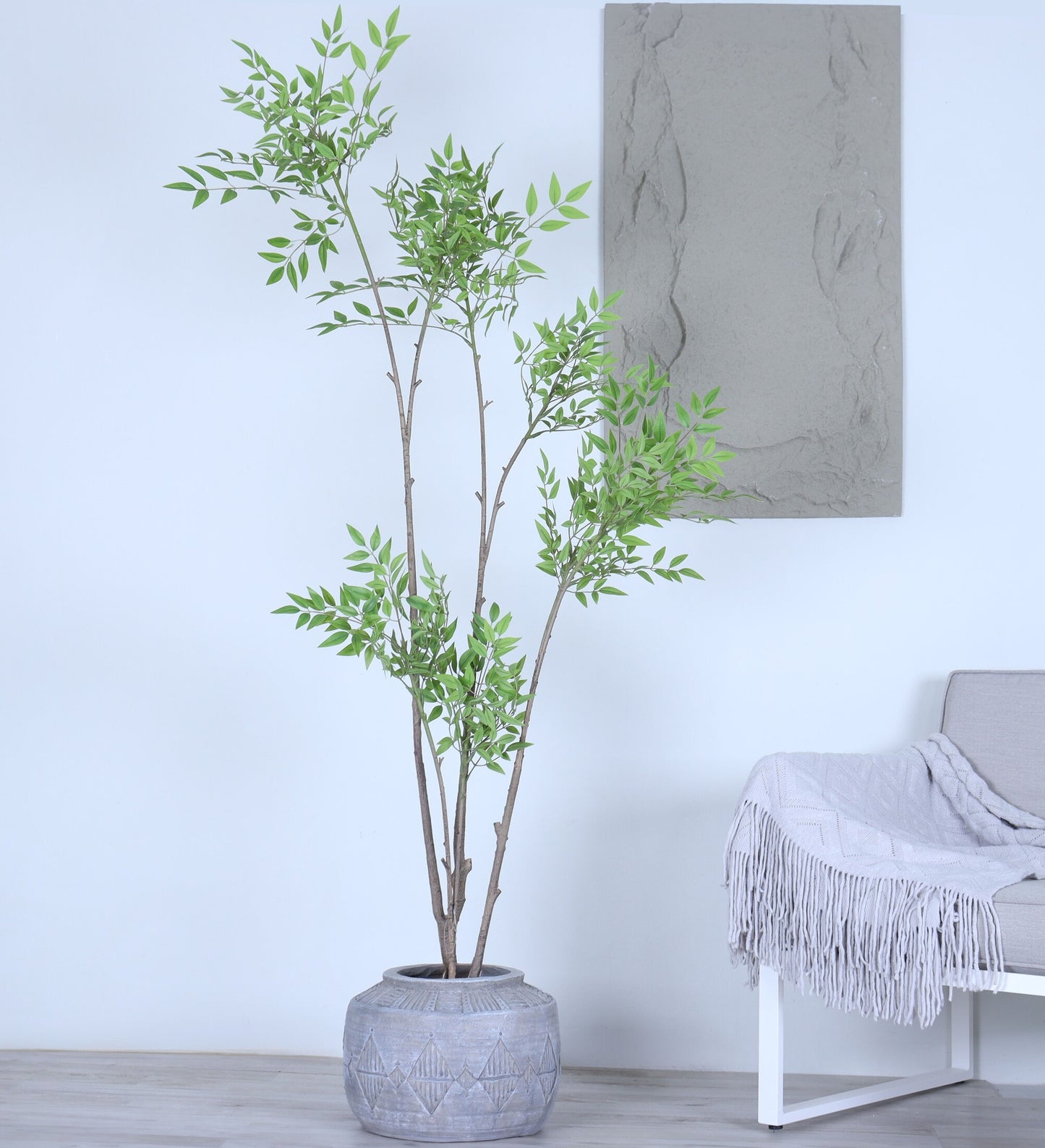 شجرة نانديا وسط