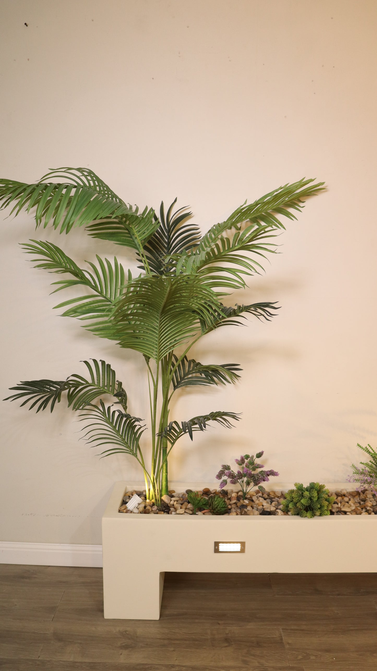 ماركن بابوا