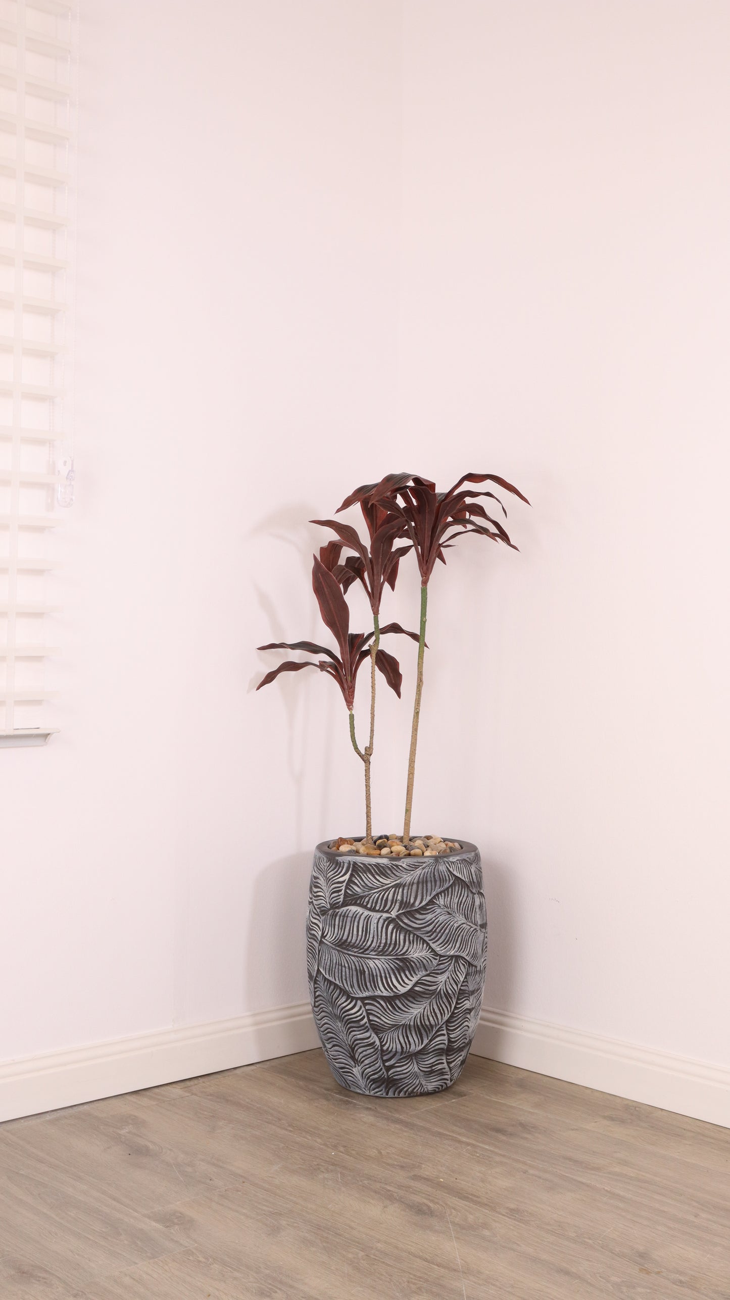 أحواض فلورينا