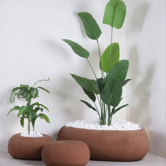 مراكن تولوم