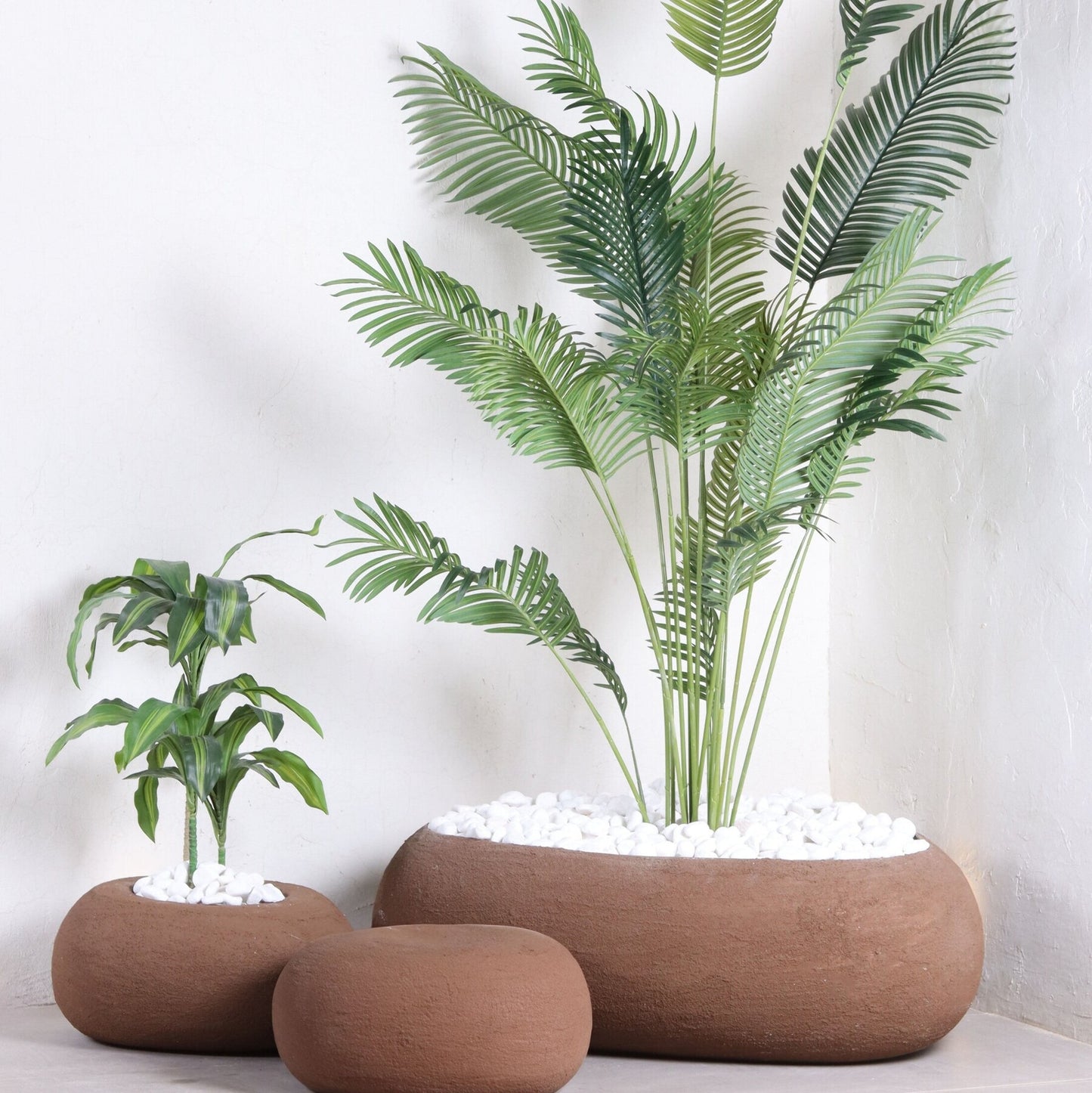 مراكن تولوم