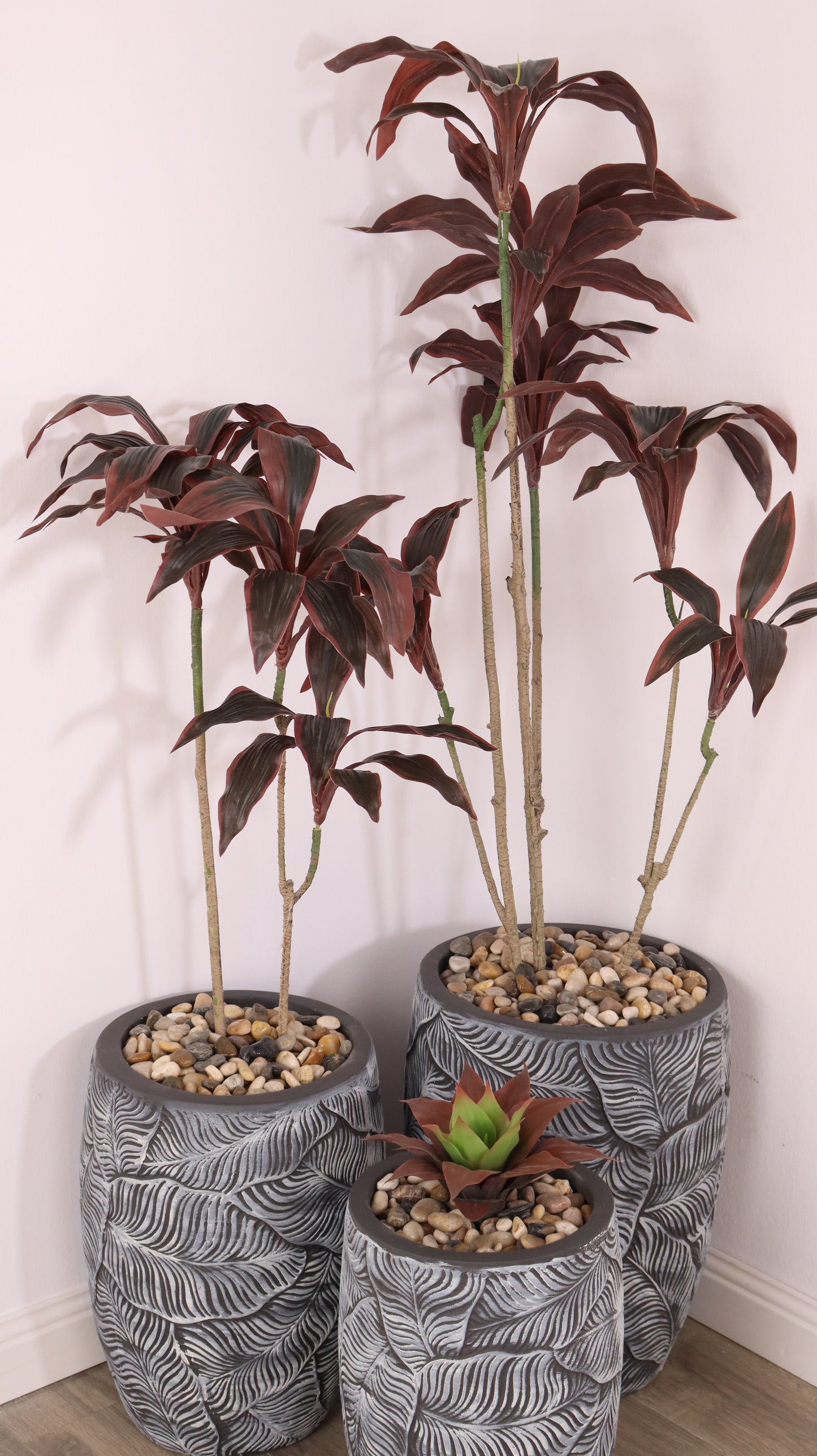 أحواض فلورينا