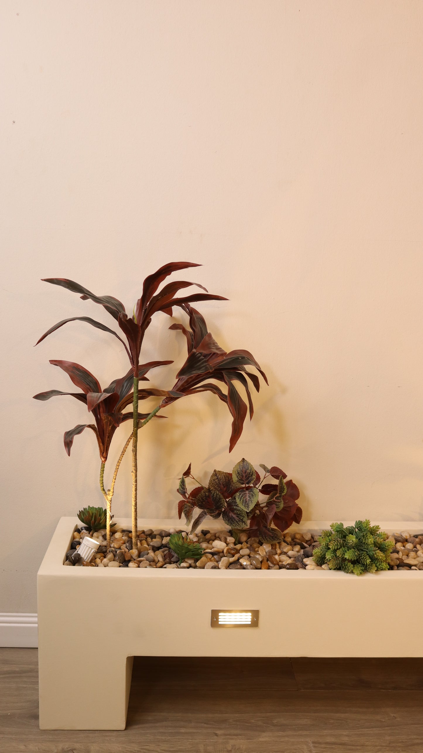 ماركن بابوا