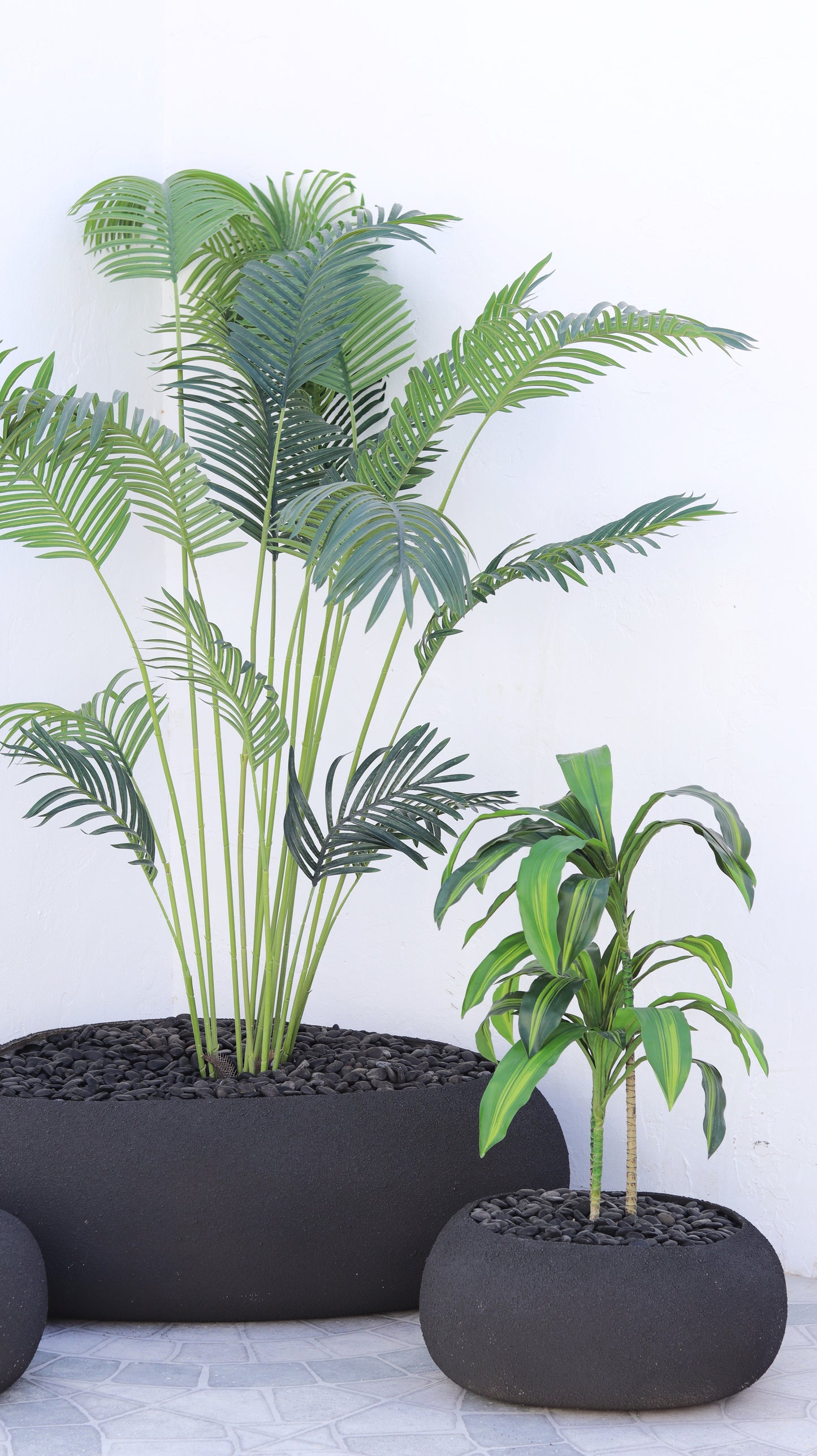 مراكن تولوم