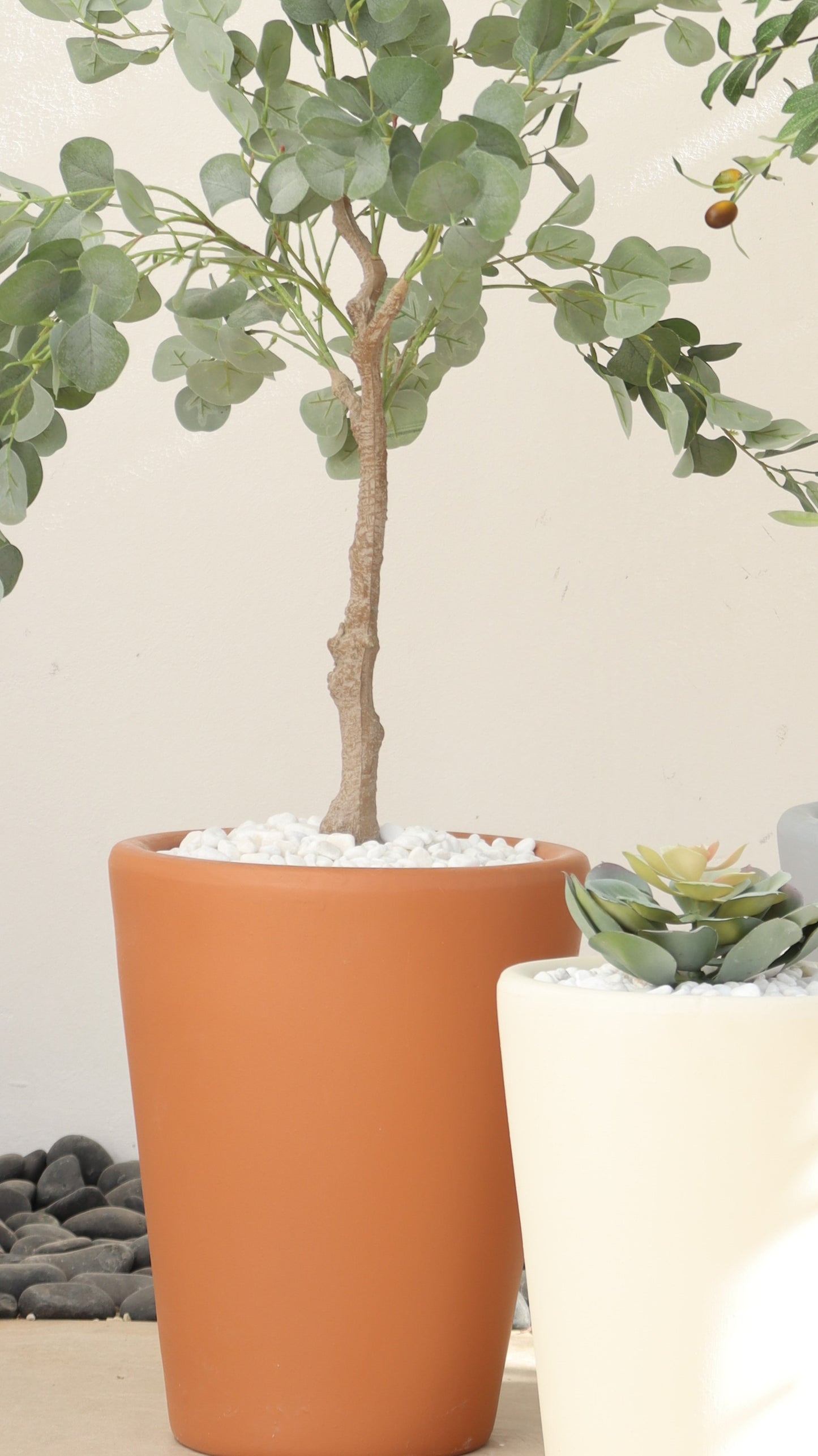 أحواض سيفيّا