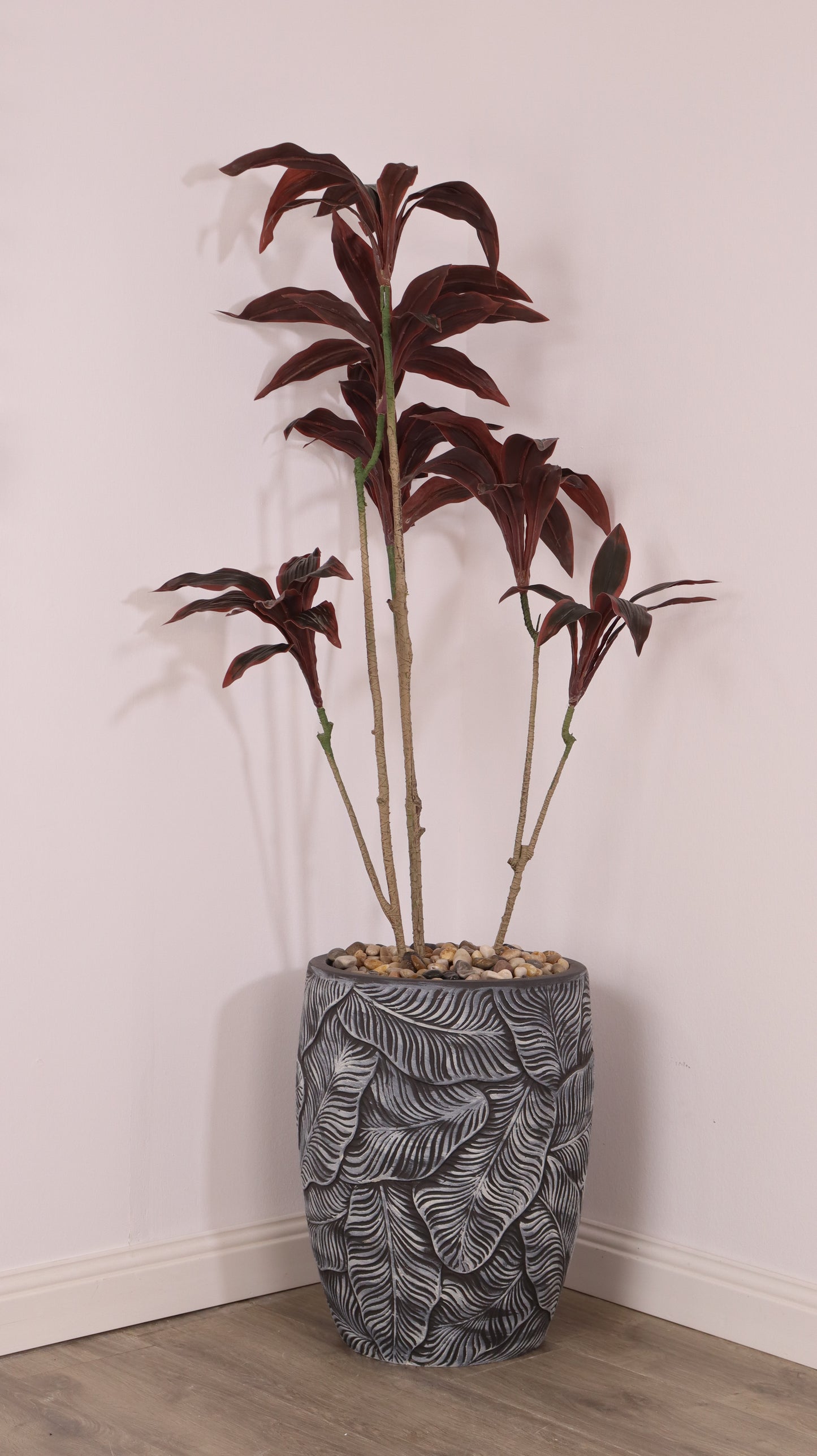 أحواض فلورينا