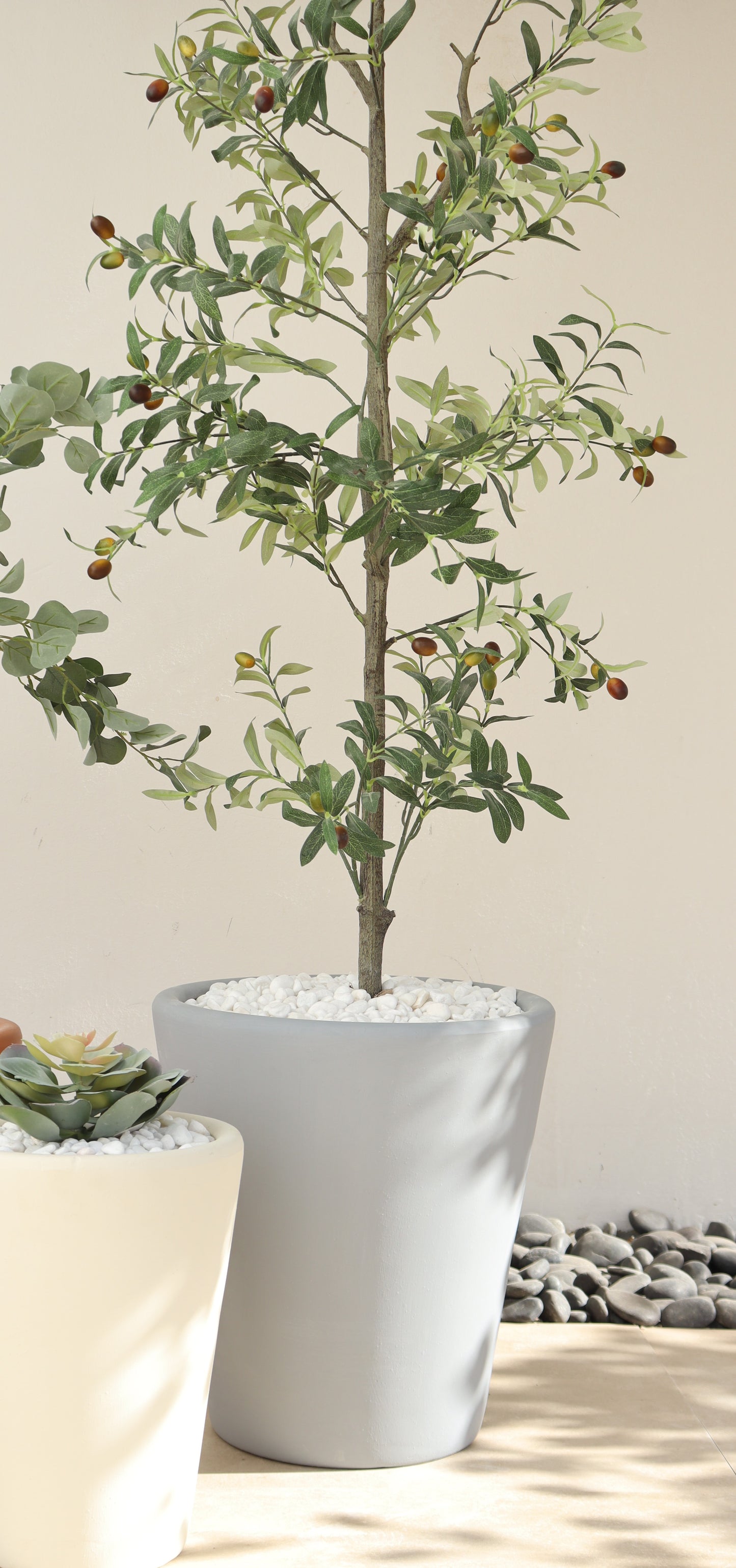 أحواض سيفيّا