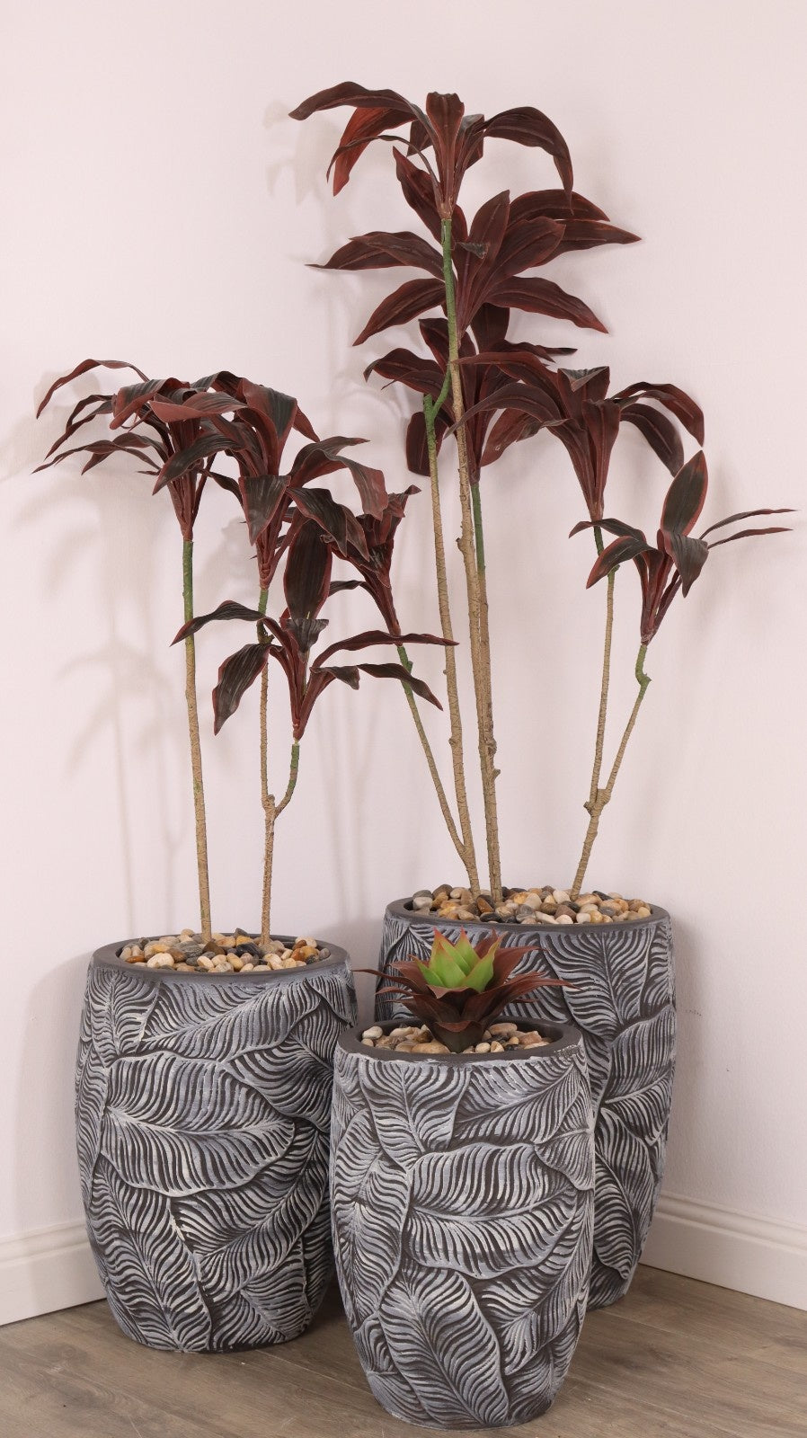 أحواض فلورينا