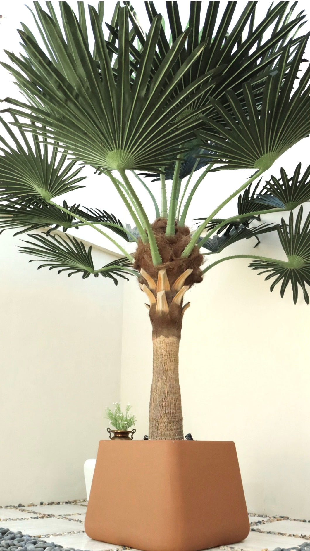 شجرة النخيل