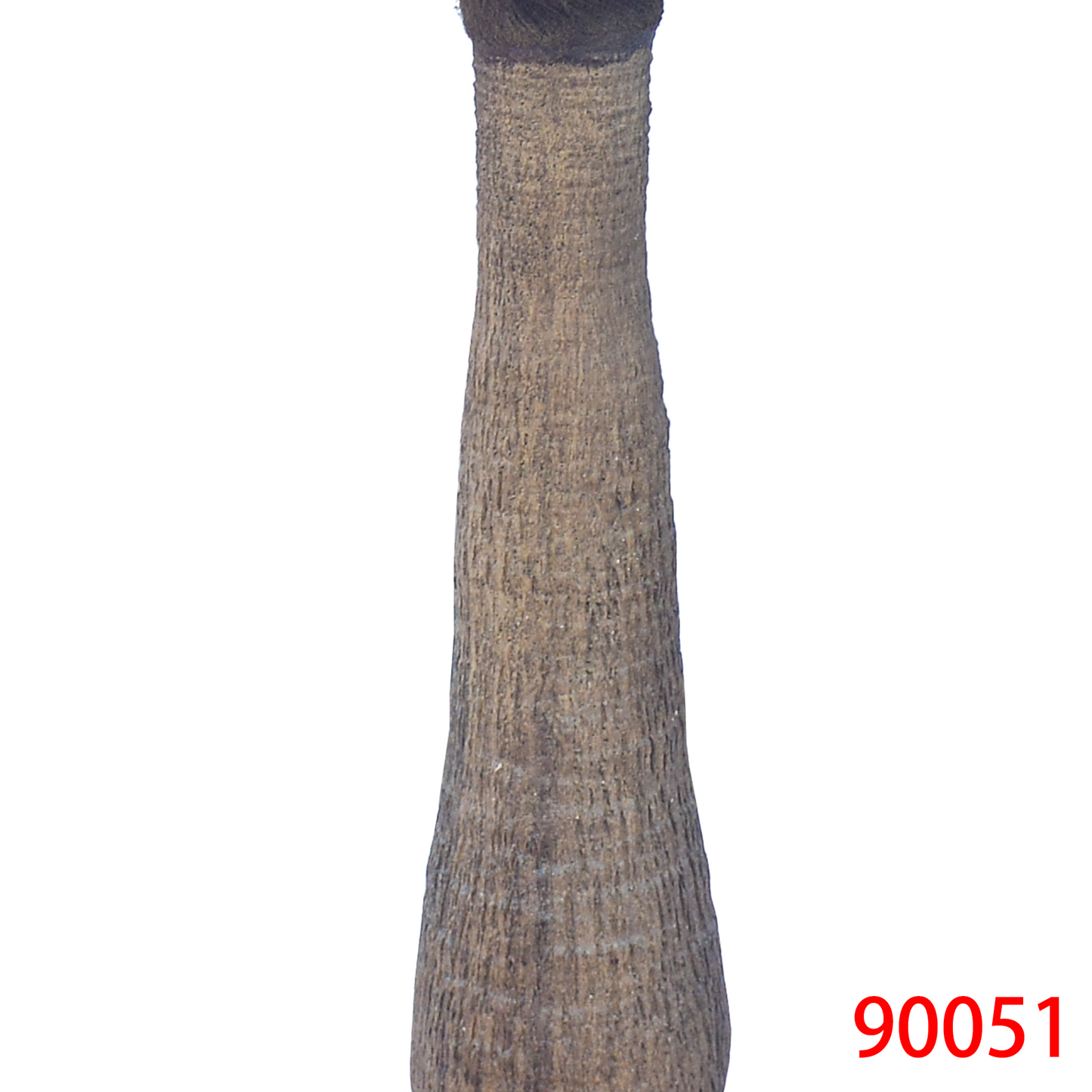 شجرة النخيل