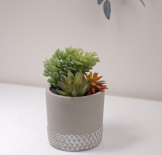 نبات بماركن رصاصي