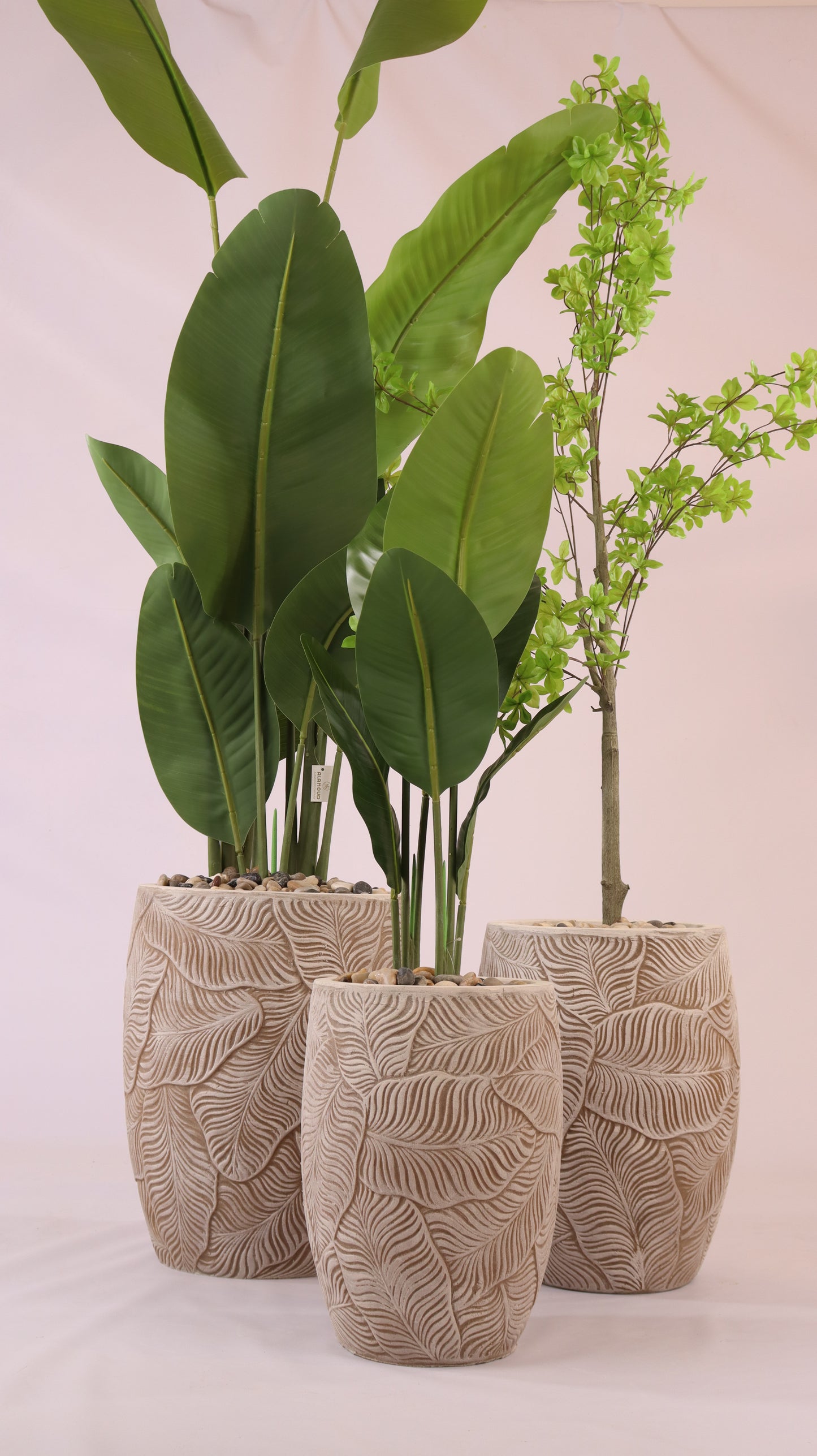 أحواض فلورينا