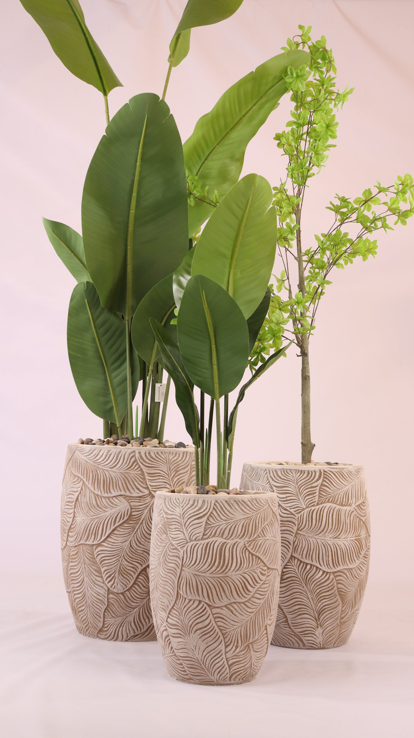 أحواض فلورينا