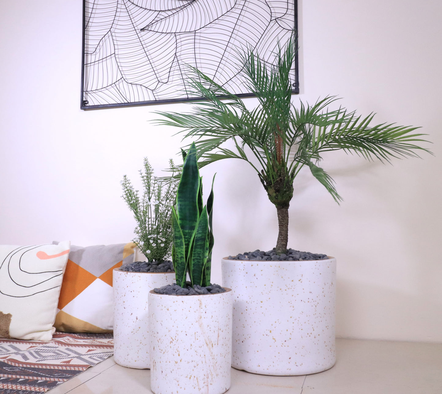 ماركن بلانكو