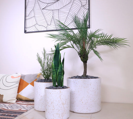 ماركن بلانكو