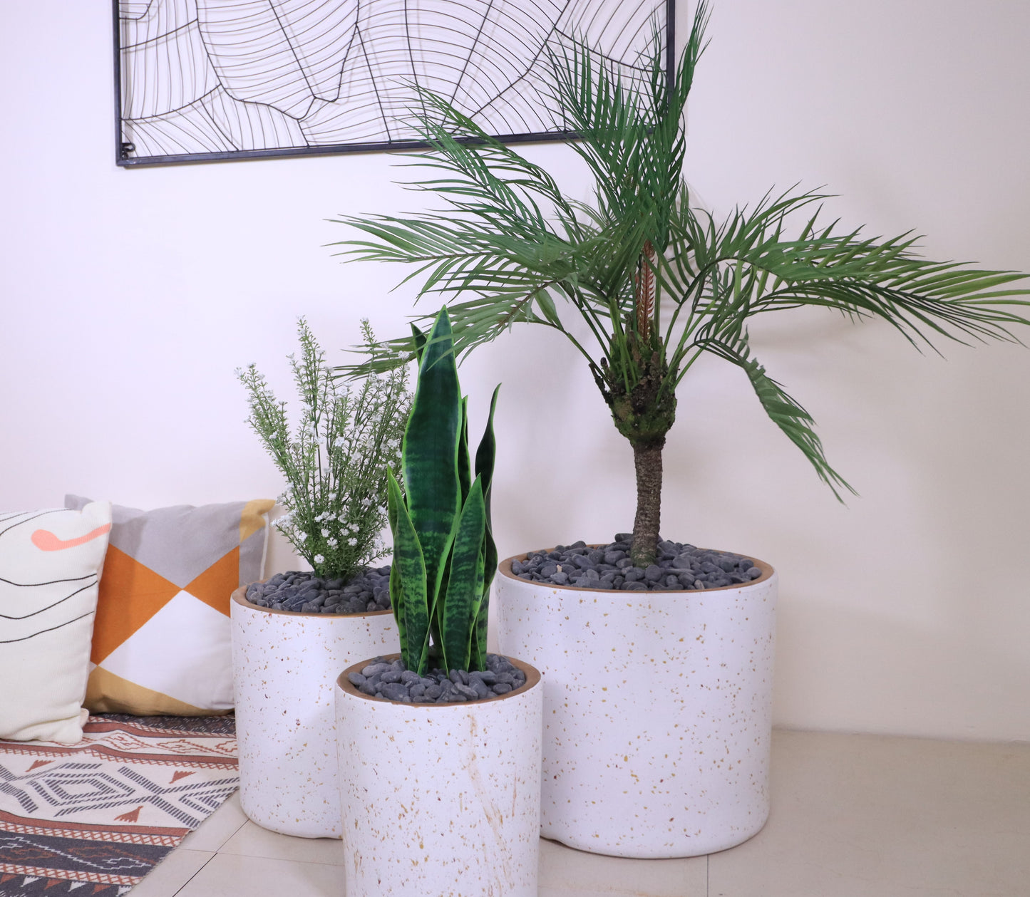 ماركن بلانكو