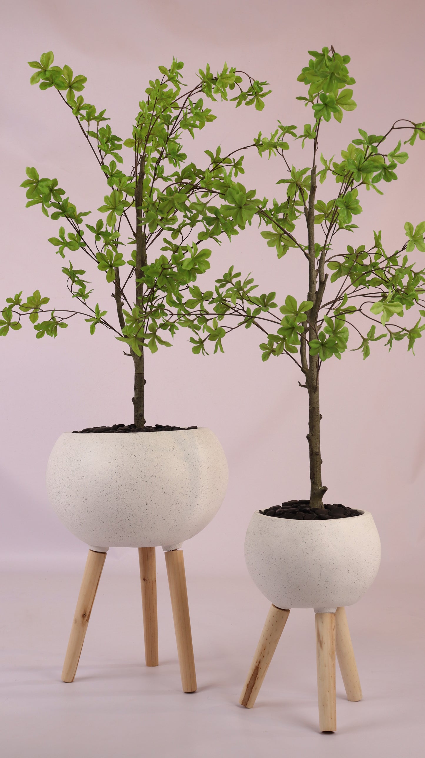 أحواض قمرية بأرجل