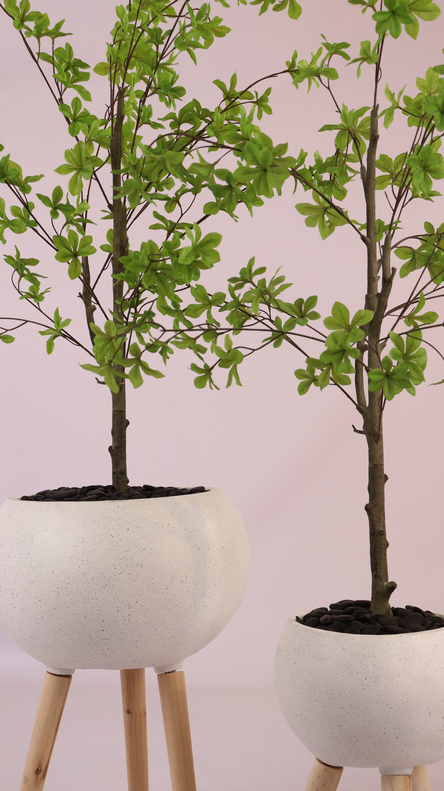 أحواض قمرية بأرجل