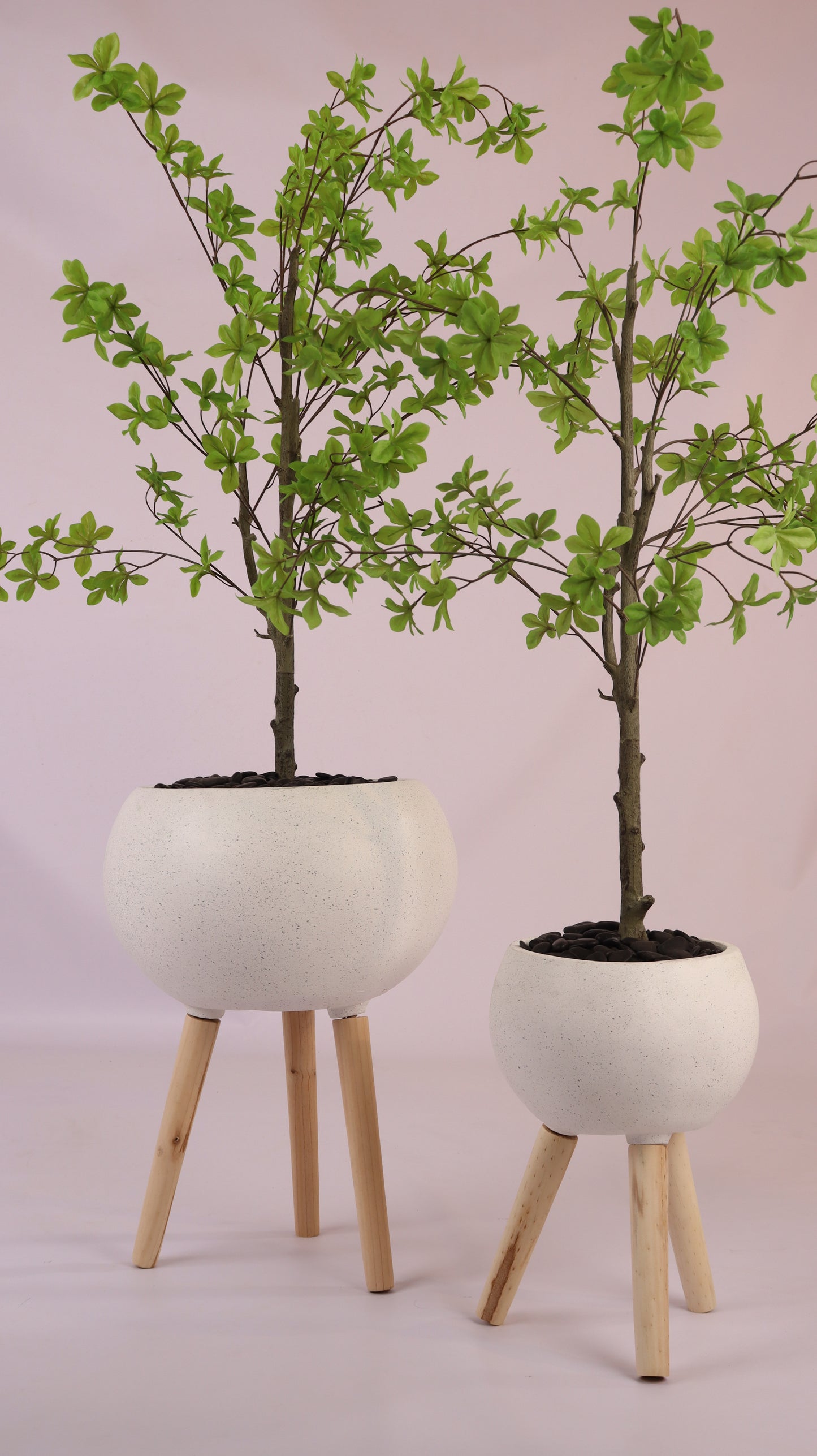 أحواض قمرية بأرجل