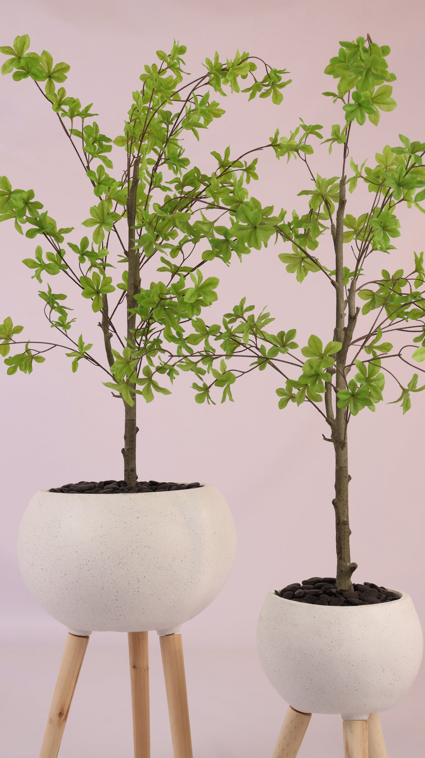 أحواض قمرية بأرجل