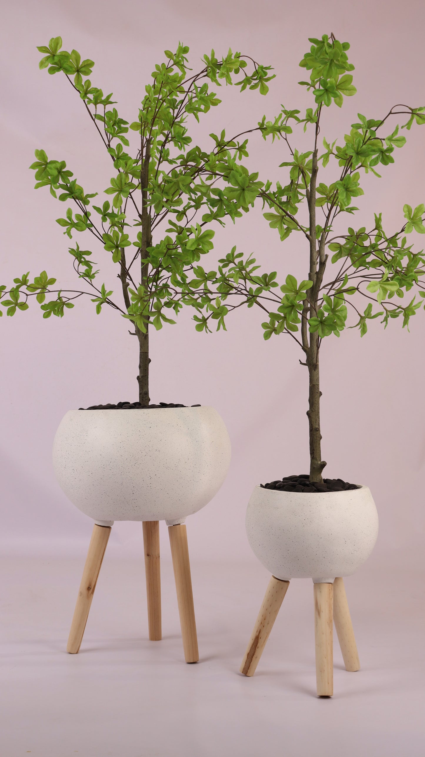 أحواض قمرية بأرجل