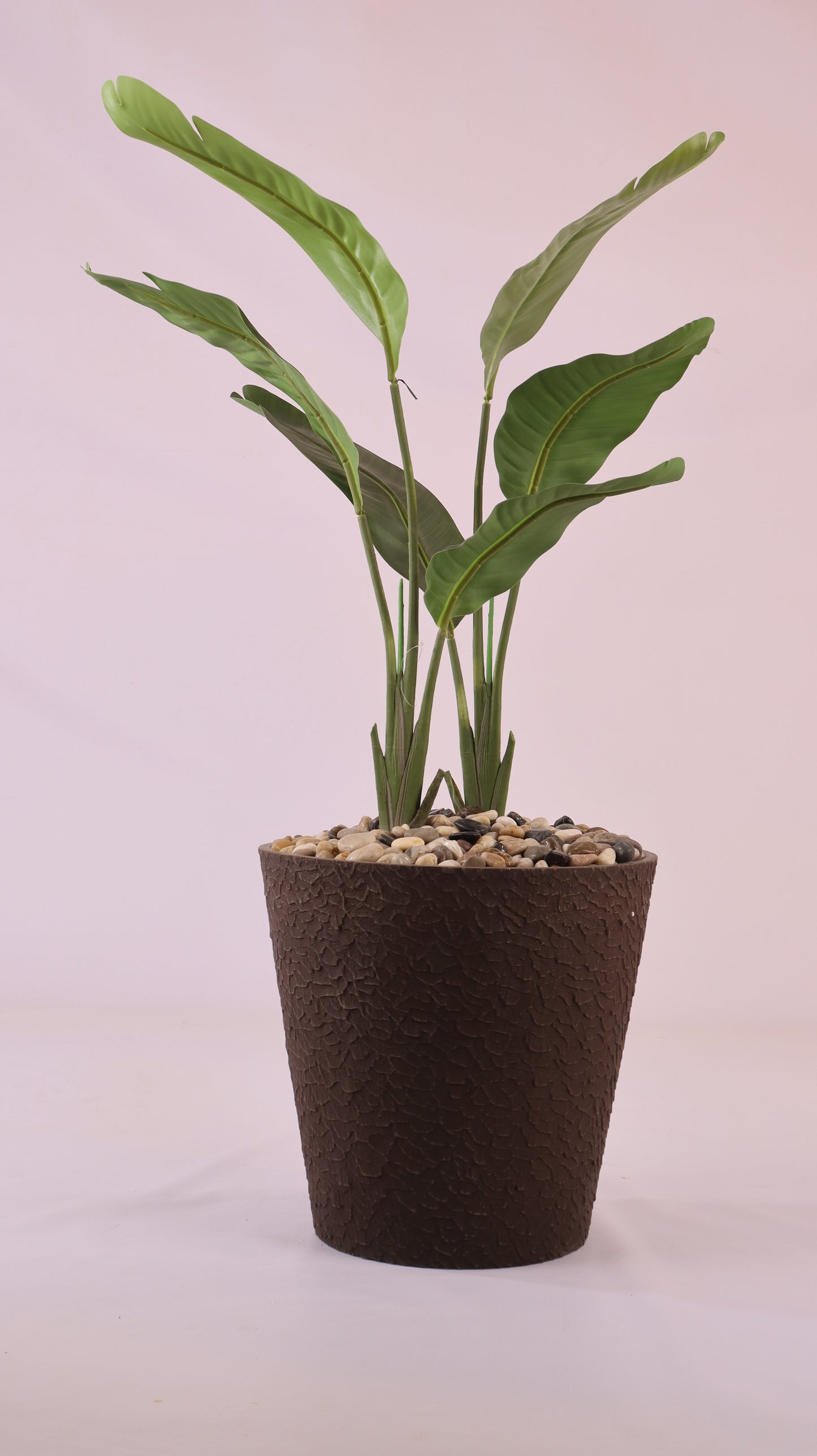 حوض مدور بني