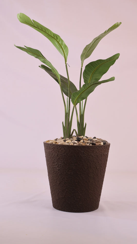 حوض مدور بني