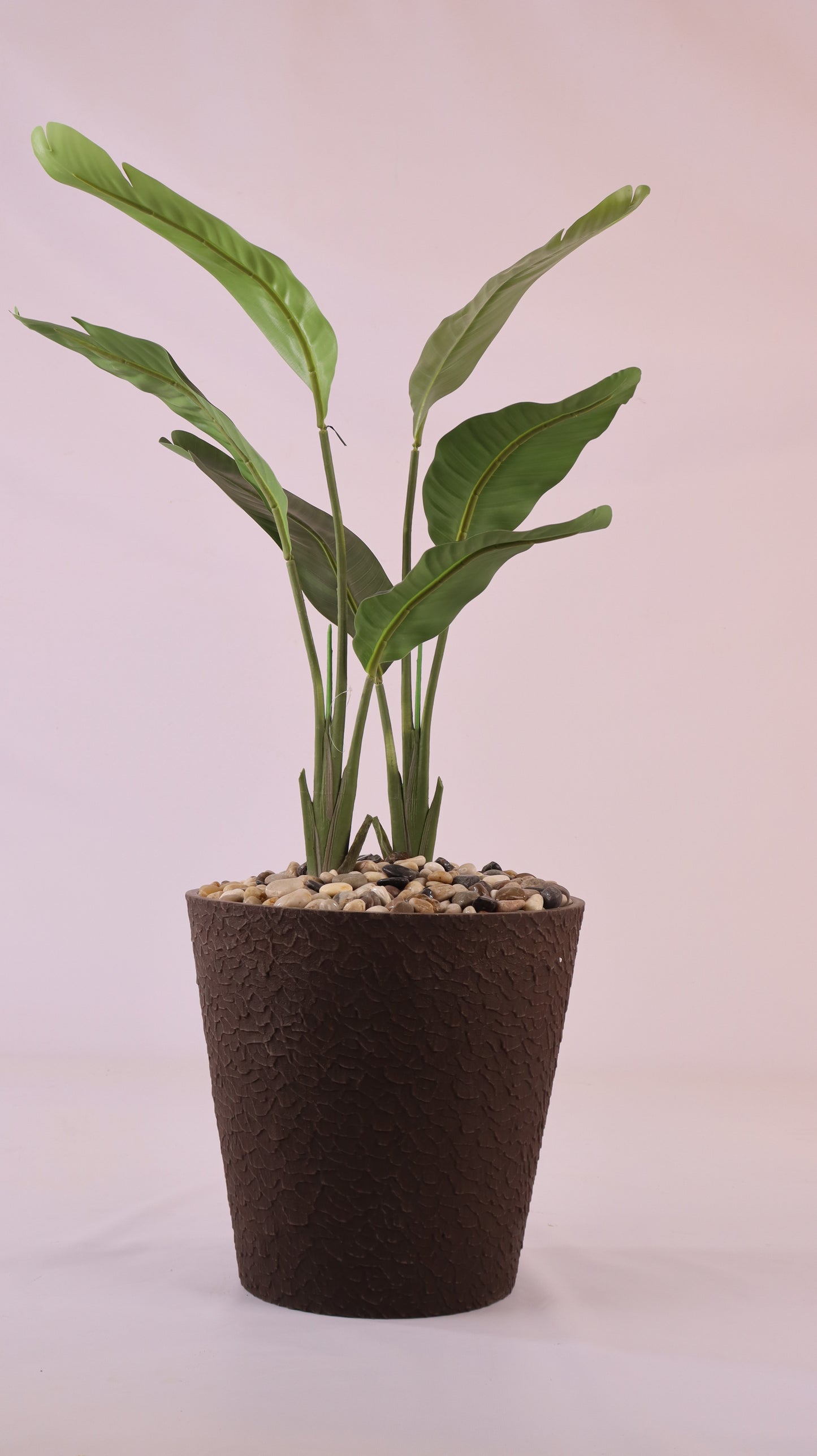 حوض مدور بني